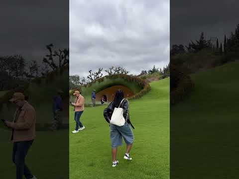 A diverse mix of architecture in Mexico | brutalism modernism meets colour and organic shapes