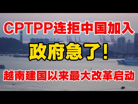 CPTPP连拒中国，领导急了！越南为何能加入？越南加速改革，震惊世界！