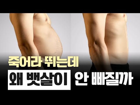 왜 힘들게 달리는데도 살이 안 빠질까? 진짜 지방 태우는 방법 알려드립니다