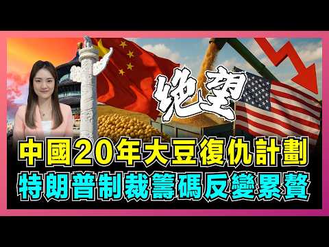 中國進口美國大豆歸零 特朗普制裁籌碼反變累贅｜巴西阿根廷搶佔市場 美國豆農提人民幣結算｜中國20年復仇計劃 美式空手套白狼徹底破局【屈姬主播 EP337】