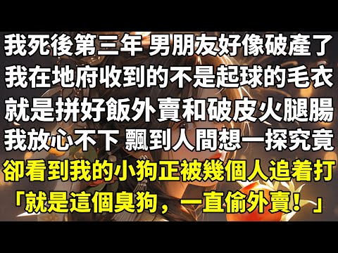 我死後第三年，男朋友好像破產了。我在地府收到的不是起球的毛衣，就是拼好飯外賣和破皮火腿腸。我放心不下，飄到人間想一探究竟。卻看到我的小狗正被幾個人追着打：「就是這個臭狗，一直偷外賣！」