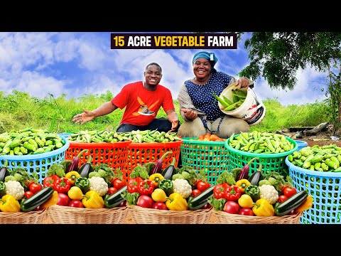 Why She Quit Her Job To Start a 15 Acre Vegetable Farm in Ghana. #vegetables #vegetablefarming