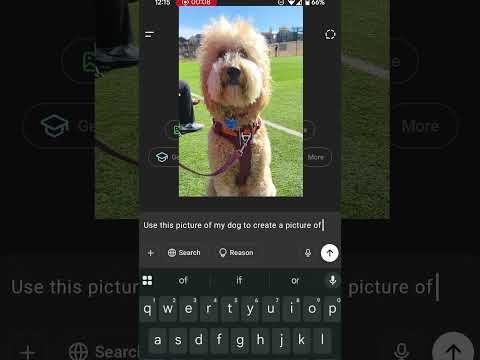 ChatGPT: Turn my dog into a human! #chatgpt #dog #human #funWithAI #ariticialintelligence #tech