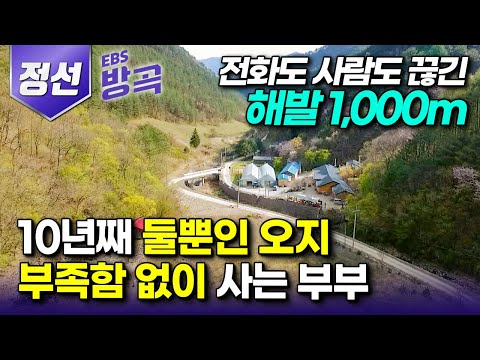 [강원 정선] "오지라고 힘들게 살 필요 있나?" 도시 생활에 염증 느끼고 떠난 전화도 안 되는 해발 1,000m 산골에서 부족한 것 없이 사는 자연인 부부┃#한국기행 #방방곡곡
