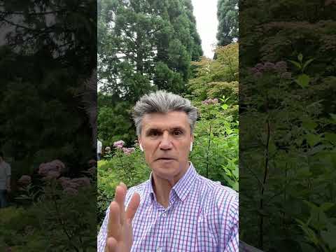 Teams using AI deliver faster, more, feel better, and break through organizational silos