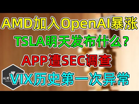 美股 AMD加入OpenAI内循环暴涨！TSLA明天发布什么？APP遭SEC调查！VIX历史从未有过的异常！