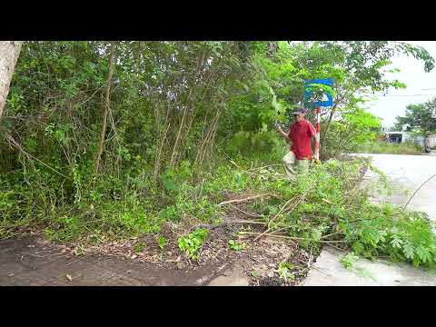 99% SATISFYING! Deep Cleaning a Path That Was LOST for Years!