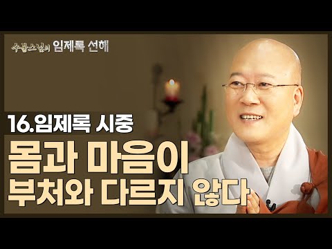 [#수불스님] 16.몸과 마음이 부처와 다르지 않다 | 임제록 선해-시중
