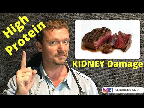 Does a High Protein Diet cause Kidney Disease? [WARNING: Myth Alert]