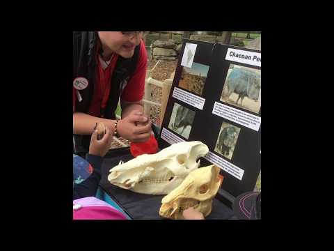 Calgary Zoo Kindergarten Field Trip