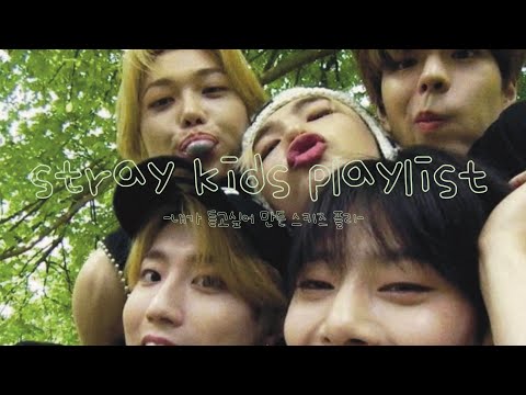 내가 들으려고 만든 스키즈 잔잔한 플레이리스트 🍏🐶 straykids playlist