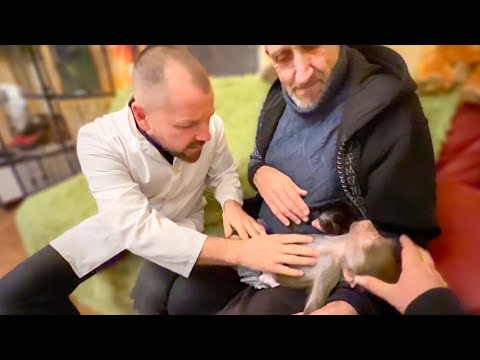 К Люсе, Степашке и Жорику приехал на осмотр доктор Василий! КАК ДЕЛА у СТЕПАШКИ???