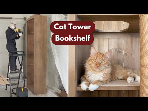 I built a giant bookshelf for my cats!