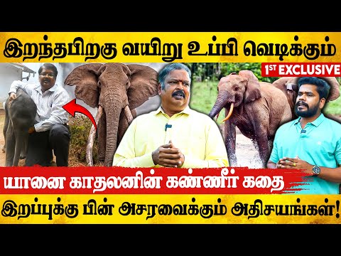 🐘300 யானைகளுக்கு மேல Post- m*rtem செய்தவர்|பகீர் தகவல்கள்! Rtd  veterinary officer Ashokan Exclusive