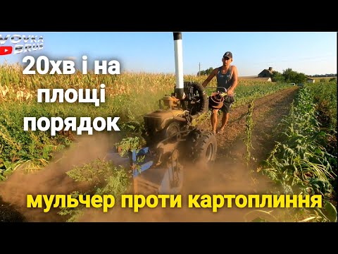 Ефективний метод уборки бадилі і бур'яну по картоплі ТУРБОМОТОБЛОКОМ з мульчером.