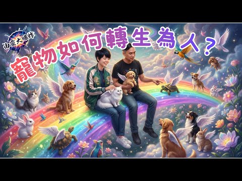 由靈大爆炸LIVE 20251215 [寵物如何轉生為人?]