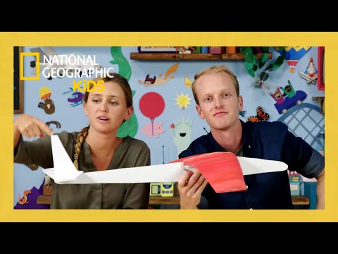 The Airplane Birthday ✈️ | Weird But True Full Episode | @natgeokids