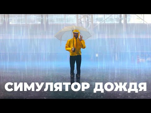 Самое дождливое место на планете [Veritasium]