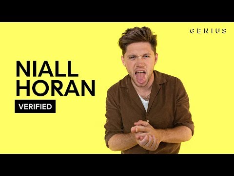 Niall Horan "Nice To Meet Ya" Official Lyrics & Meaning | Verified