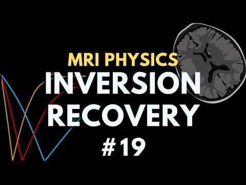 Inversion Recovery Pulse Sequences MRI | STIR and FLAIR | MRI Physics Course #19