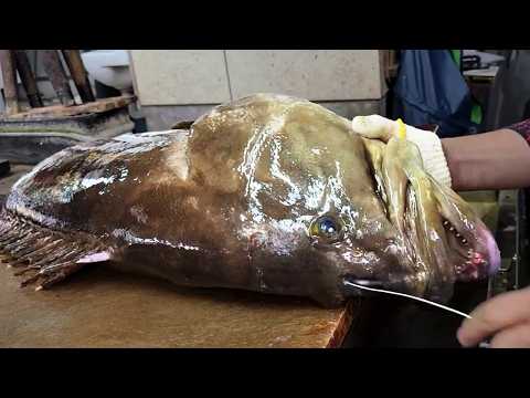How to prepare huge Long tooth grouper