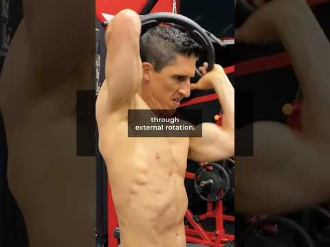 The ULTIMATE Shoulder Warmup Routine