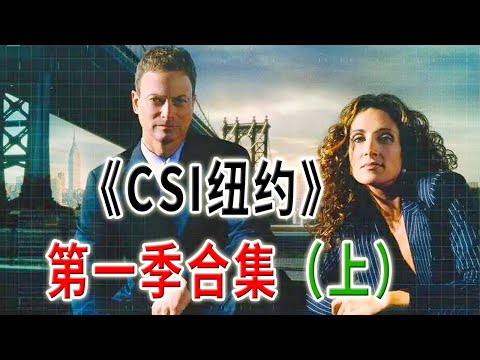 高分下飯神劇《犯罪現場調查：紐約》第一季合集（上）