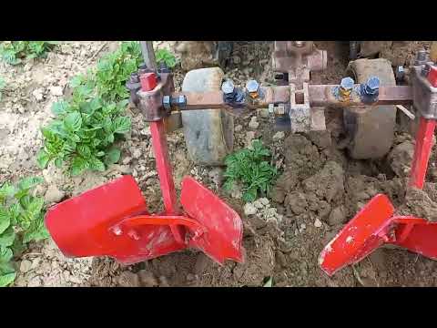 Проводжу окучування картоплі