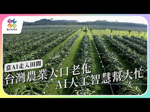 台灣農業人口老化，AI人工智慧幫大忙。｜當AI走入田間｜公視 #獨立特派員 第780集 20221214
