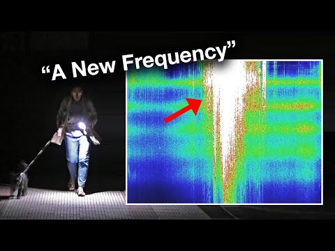 Something Shifted on April 28 (But No One Noticed)