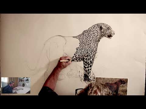 LIVE: Drawing BIG !