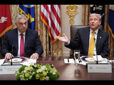 Pro-Trump Hungarian prime minister loses election