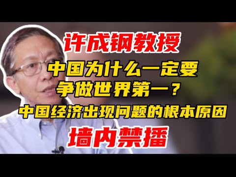 【墙内禁播】许成钢：中国为什么一定要争做世界第一？中国经济出现问题的根本原因
