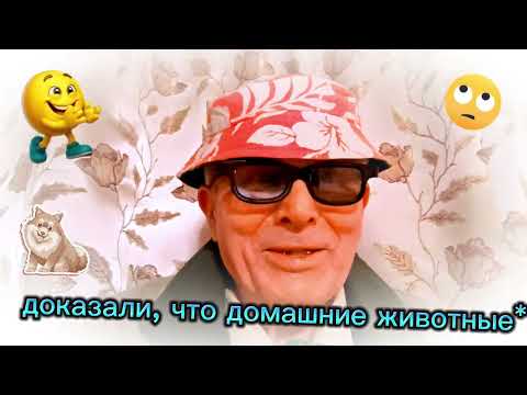 Смех, юмор, анекдот 