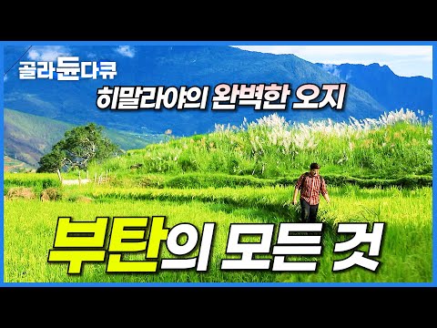 방문조차 어려운 나라. 압도적인 풍경의 히말라야 왕국 부탄을 실제로 보면 어떨까?│완벽한 오지 부탄의 모든 것│세계테마기행│#골라듄다큐