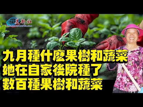 What to Plant in September: Best Vegetables and Fruit Trees,Top Vegetables to Grow in Autumn