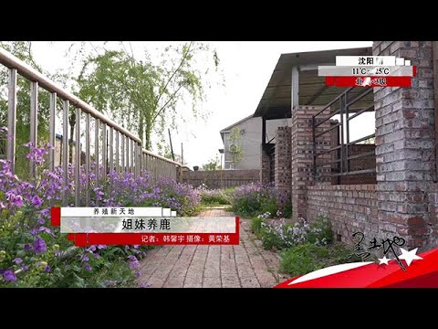 黑土地 20250920：姐妹養鹿