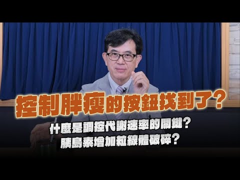 【愛健康│名醫時間】宋晏仁醫師：控制胖瘦的按鈕找到了？什麼是調控代謝速率的關鍵？胰島素增加粒線體破碎？