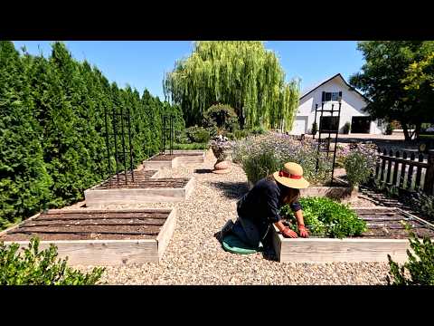 Switching to Drip Tape in our Raised Beds! 💦🌿💦 // Garden Answer