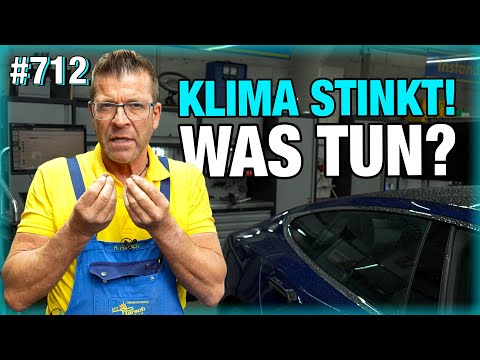 TESLA STINKT! 🤢 So geht Klimaanlagen-Reinigung! | BMW-Heckklappe KNARZT! 😖😖 Was tun?