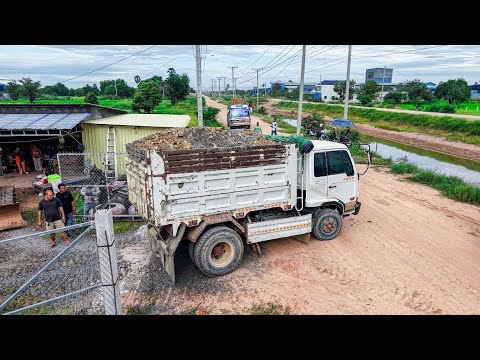 Perfectly! Start Project LANDFILL By Excellent Skill Driver 5T Trucks Unloading SoilRock &DOZER D31P