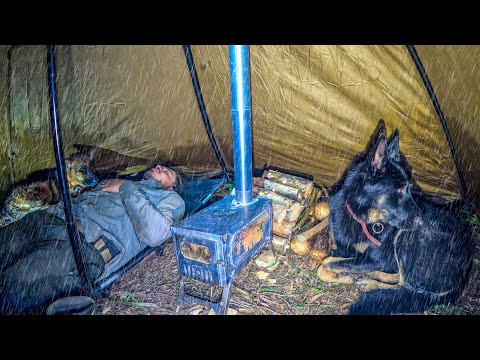 Rainy Forest Camping with My Dogs | Solo Tent, Wood Stove & Wilderness Night