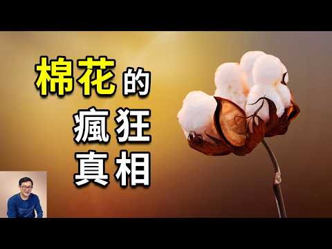 最傳奇的農作物,被懷疑是史前文明存在的證據,美國內戰和工業革命都因它而起!棉花的瘋狂真相……【老肉雜談】#生物 #植物 #農作物 #棉花 #冷知識