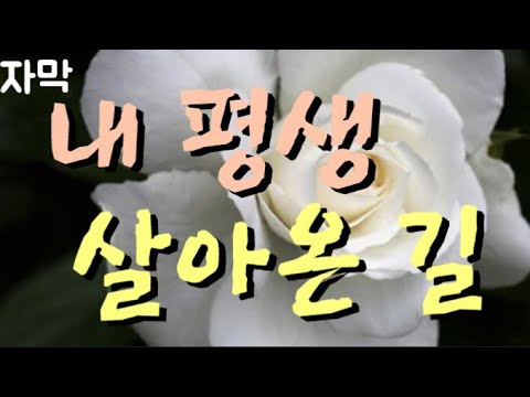 [ 사랑 찬송가 복음송 CCM ] 내 평생 살아온 길 외 은혜찬양모음