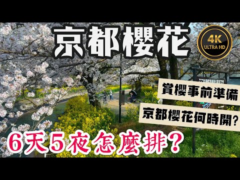 京都6天5夜🌸賞櫻行程全攻略🌸 2025年的京都何時會滿開? 賞櫻的事前準備 I 20個京都賞櫻景點 最美的前5名就是 背割堤、龜岡七谷川、哲學之道、山科疏水、蹴上鐵道