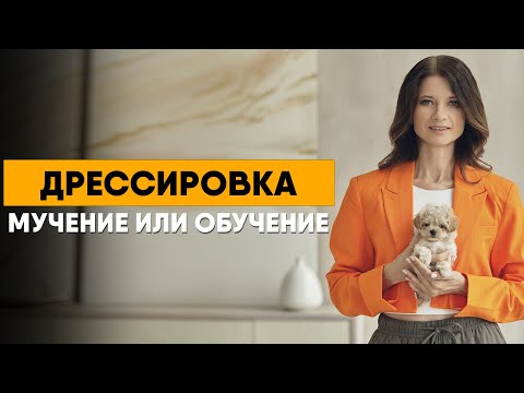 Всё о дрессировке. Как научить собаку основам и избежать ошибок