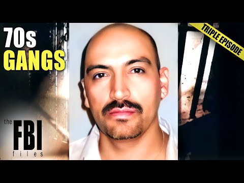 Dangerous Gangs In The 70s | TRIPLE EPISODE | The FBI Files