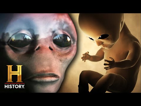Humans From the Future | Ancient Aliens | History