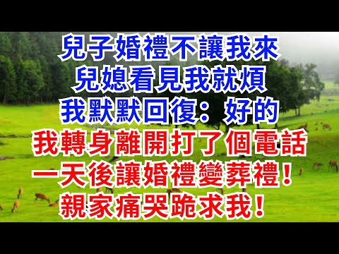 兒子婚禮不讓我來，兒媳看見我就煩。 我默默回復：好的，我轉身離開打了個電話，一天後讓婚禮變葬禮！ 親家痛哭跪求我！#婆媳矛盾#故事小說#家庭衝突#情感#婚姻