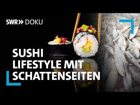 Sushi-Hype: Lachs-Quälerei und Überfischung - Lifestyle mit Schattenseiten | SWR Doku